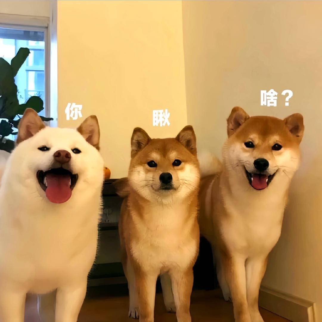 小娄