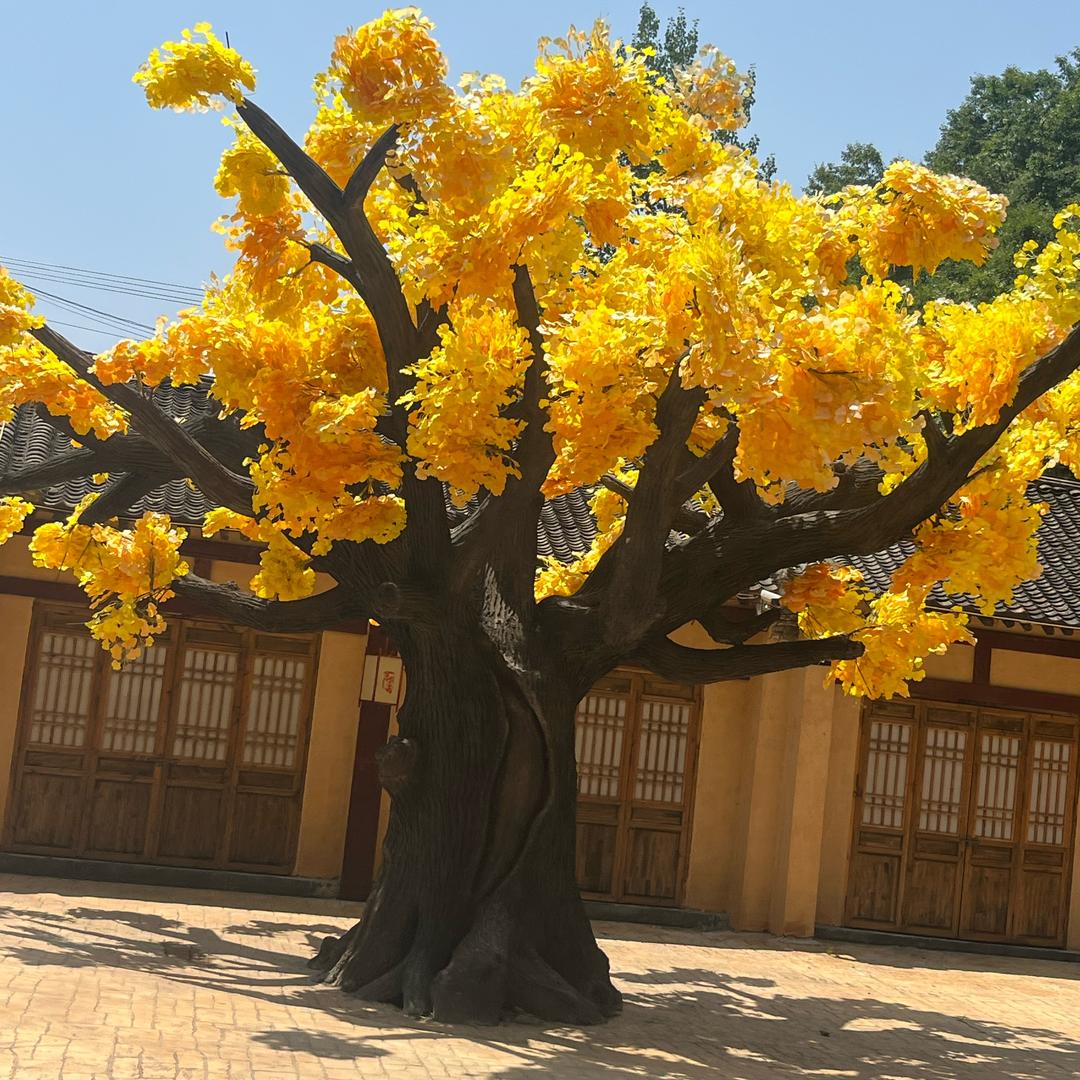 旺仔的妈妈