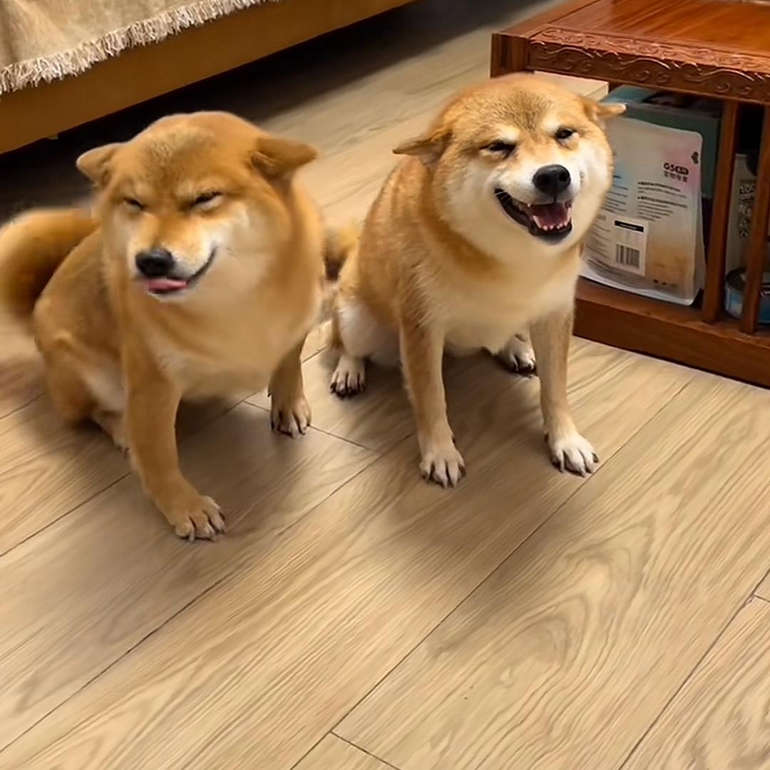 略略略略略略
