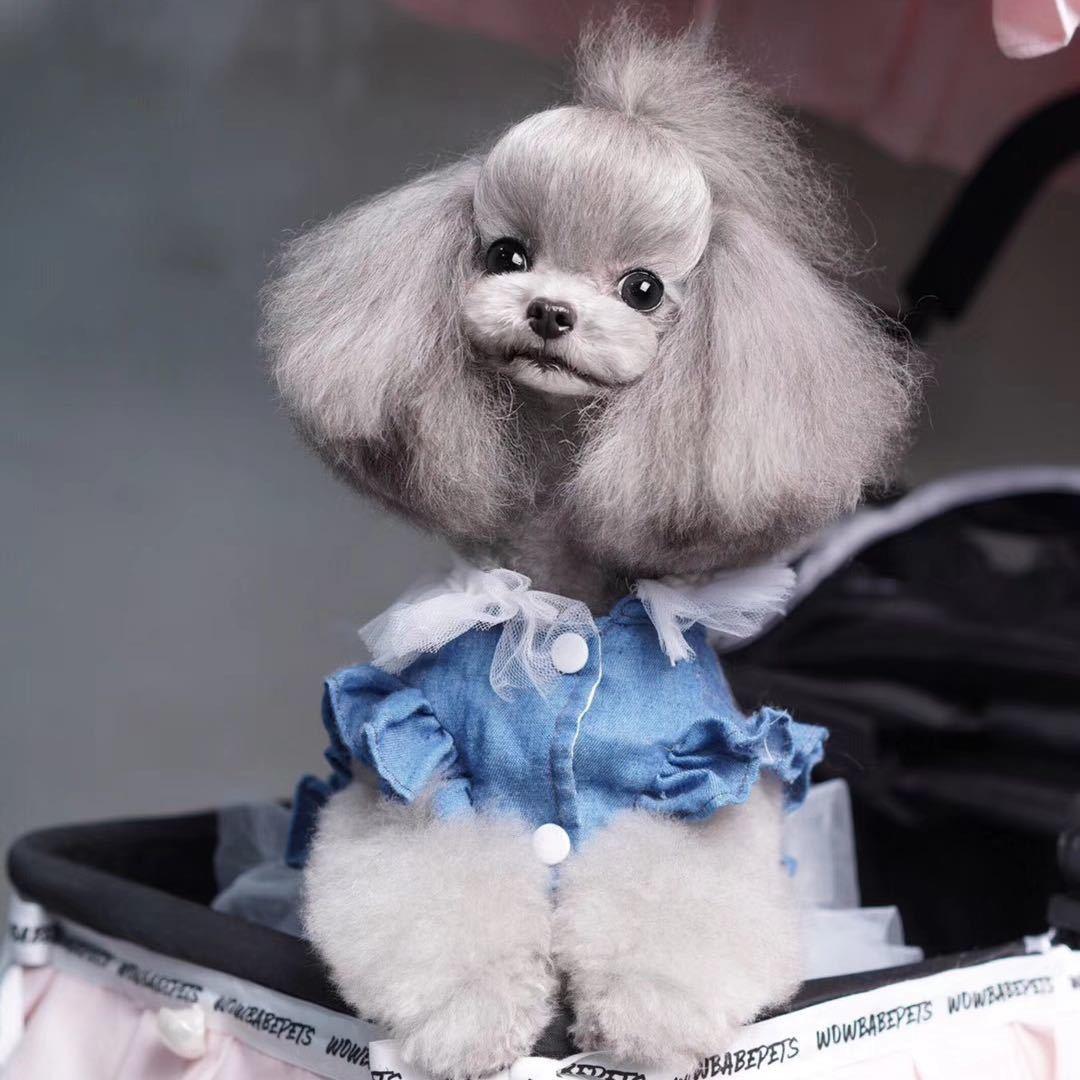 小廖宠物养殖基地批发幼犬53835766