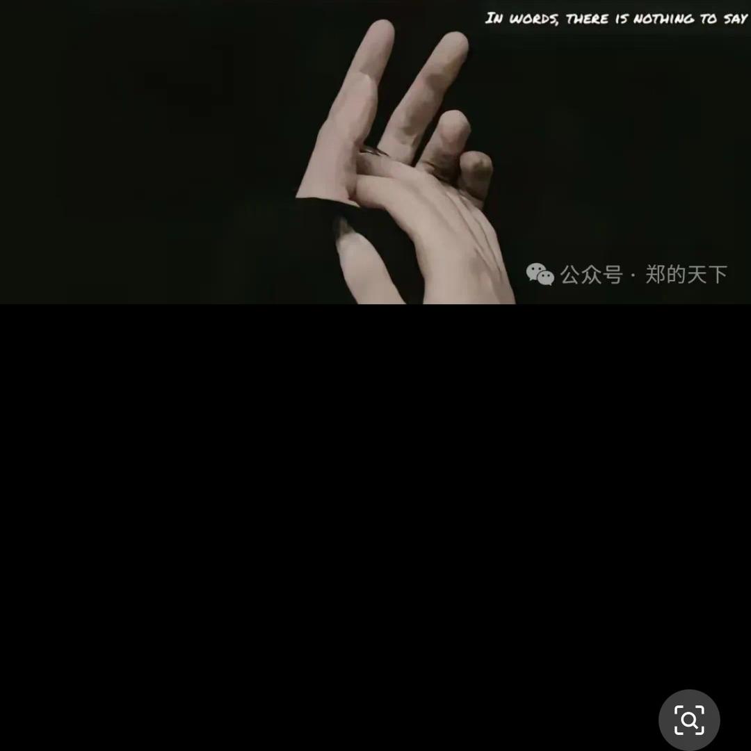 轻风淡然