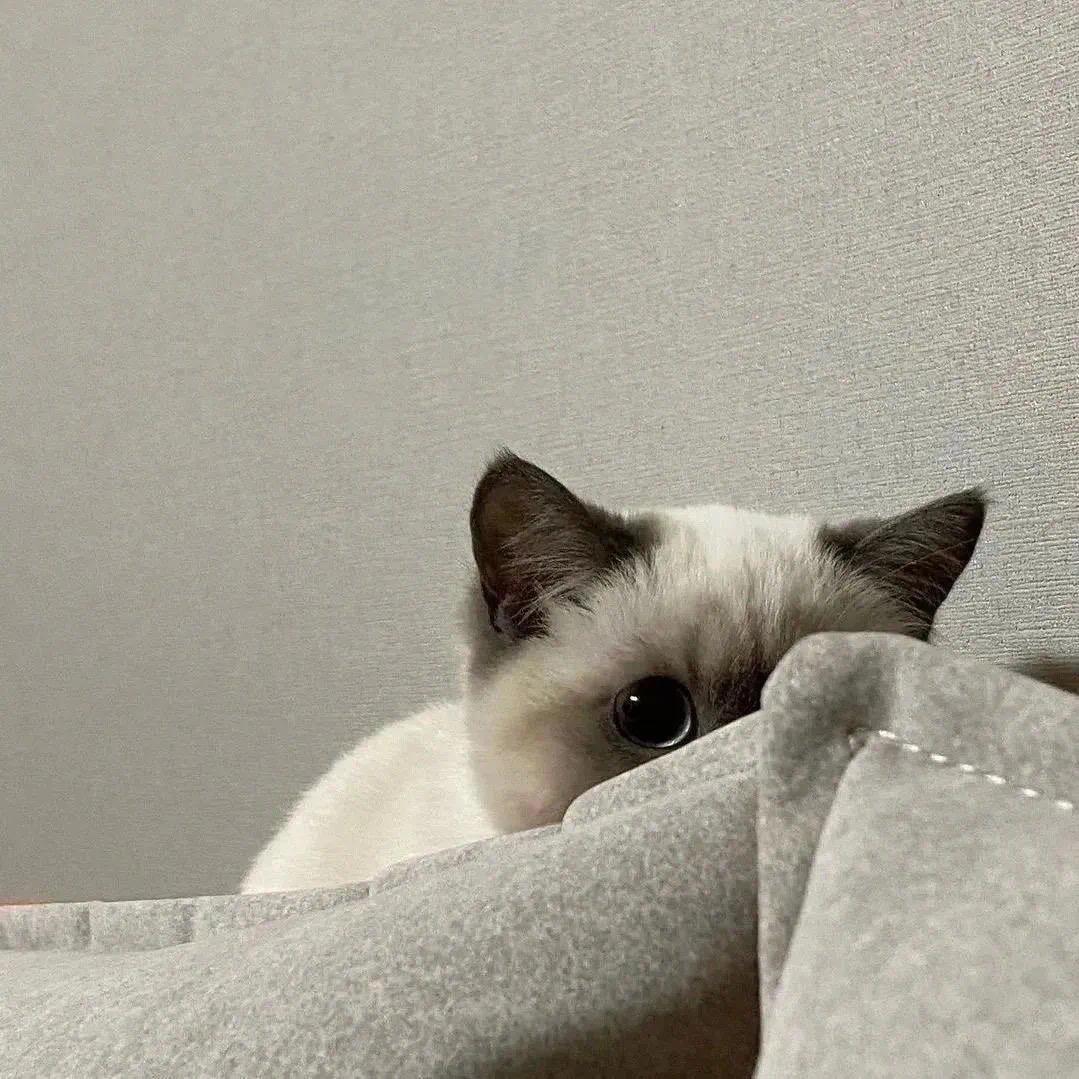 宇:-)