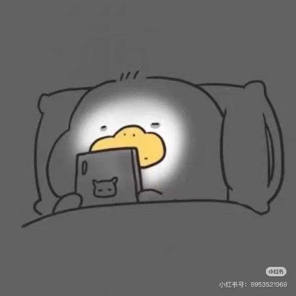 小鸭头