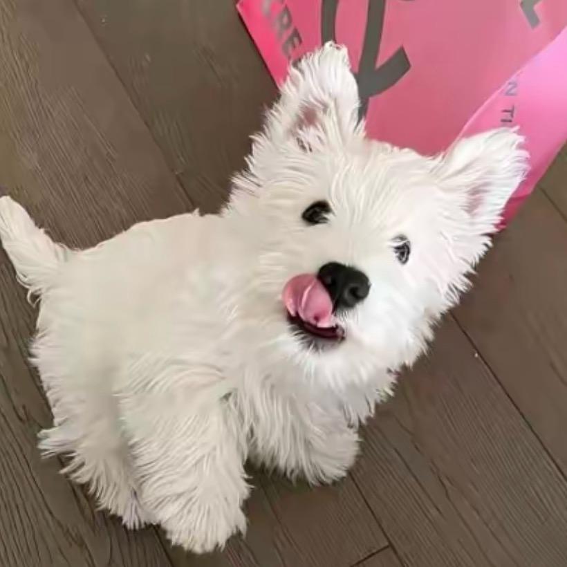 李郑时珍
