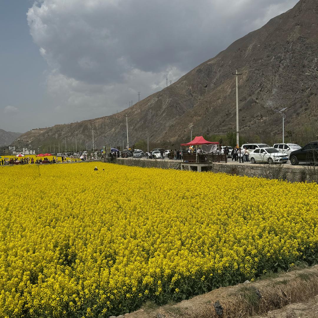 文哥（爱唱歌🎵）