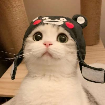 欢宠佳宠物生活