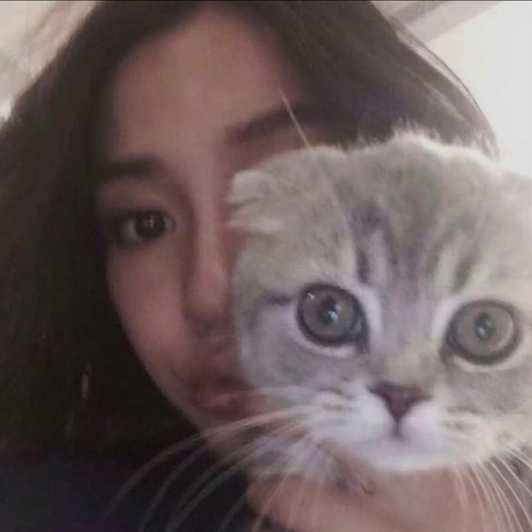 ㅤㅤㅤ  ￰ㅤ  ㅤㅤ