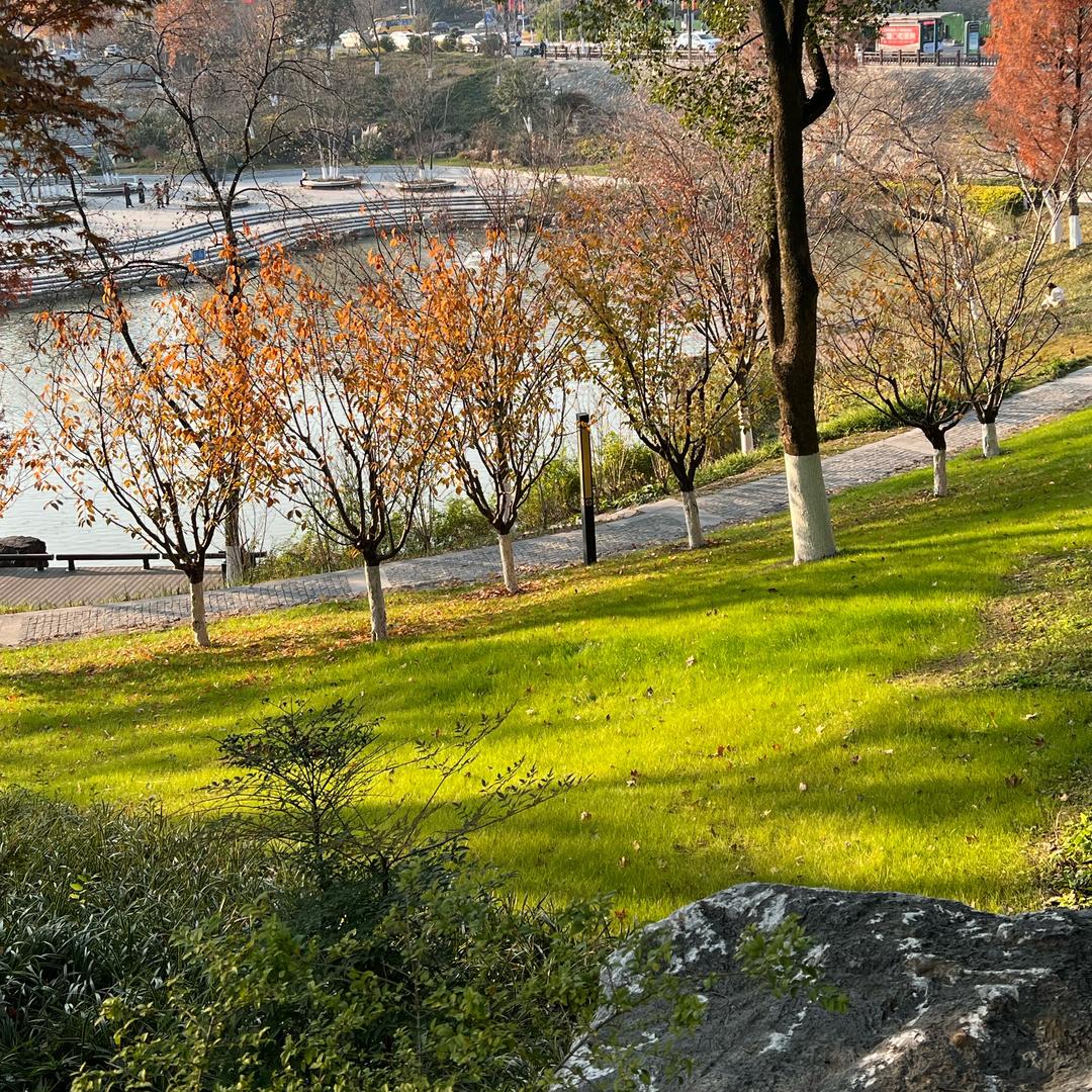 令狐大侠（肉肉是一杯好🍵）