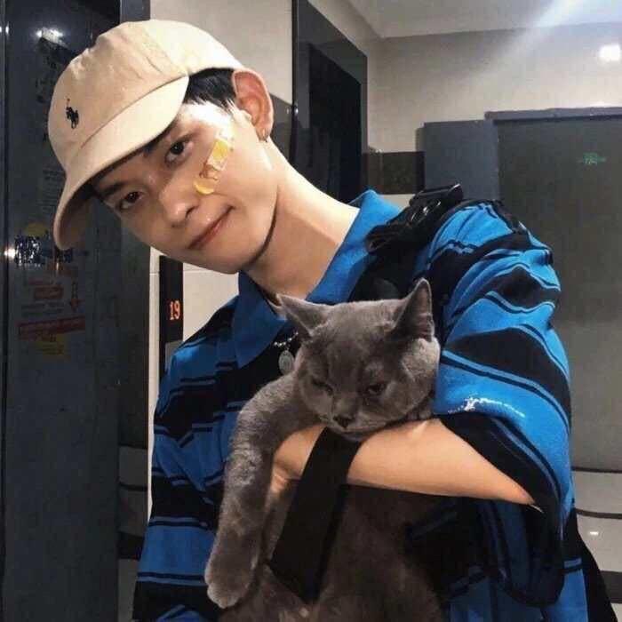 铂鼎传媒-哈基米