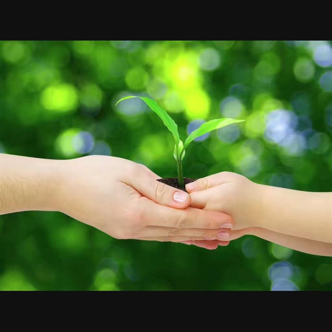 万晟百货经营部