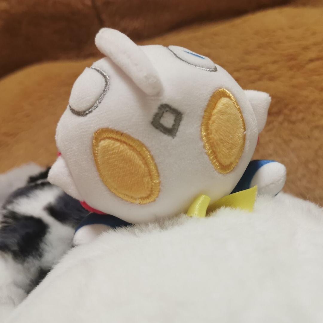 巳伊呐