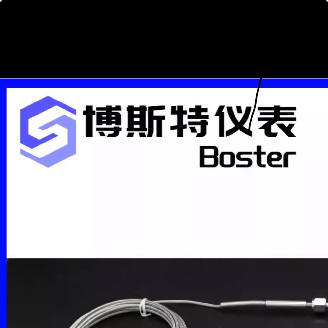 博斯特测温仪表