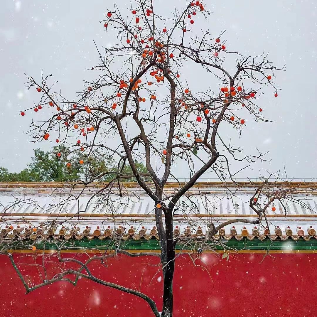 仲舒跑不董