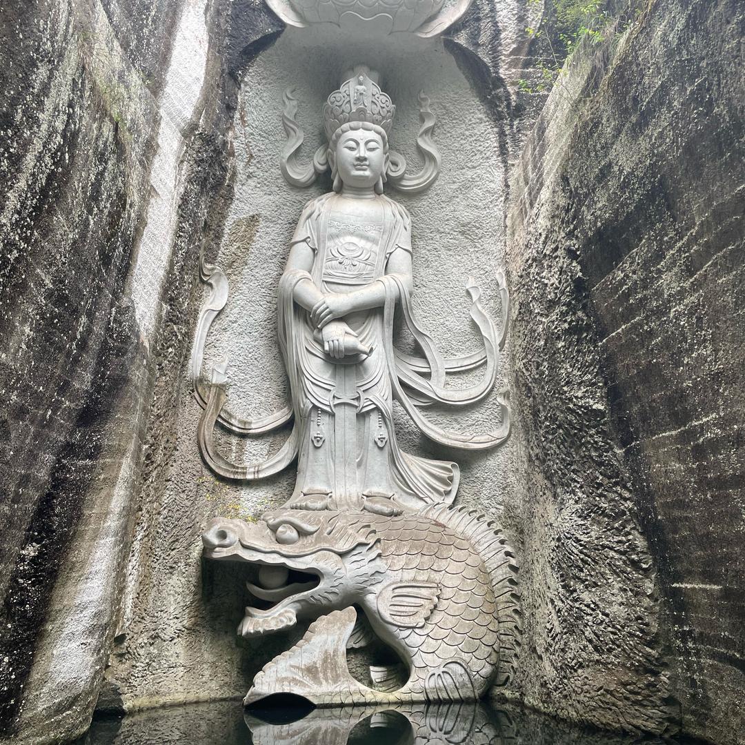 农村贾总