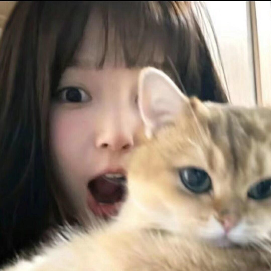我不是蛋蛋