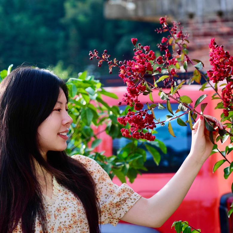 拾光乐昌-七🌻
