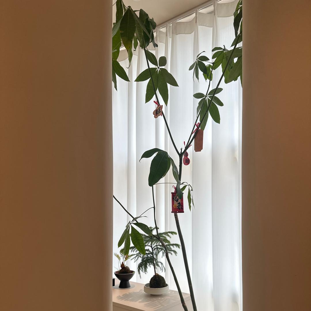 旧时光。。葬了谁的温柔