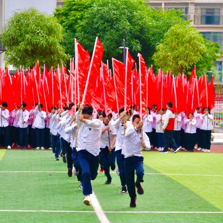 桂鸽
