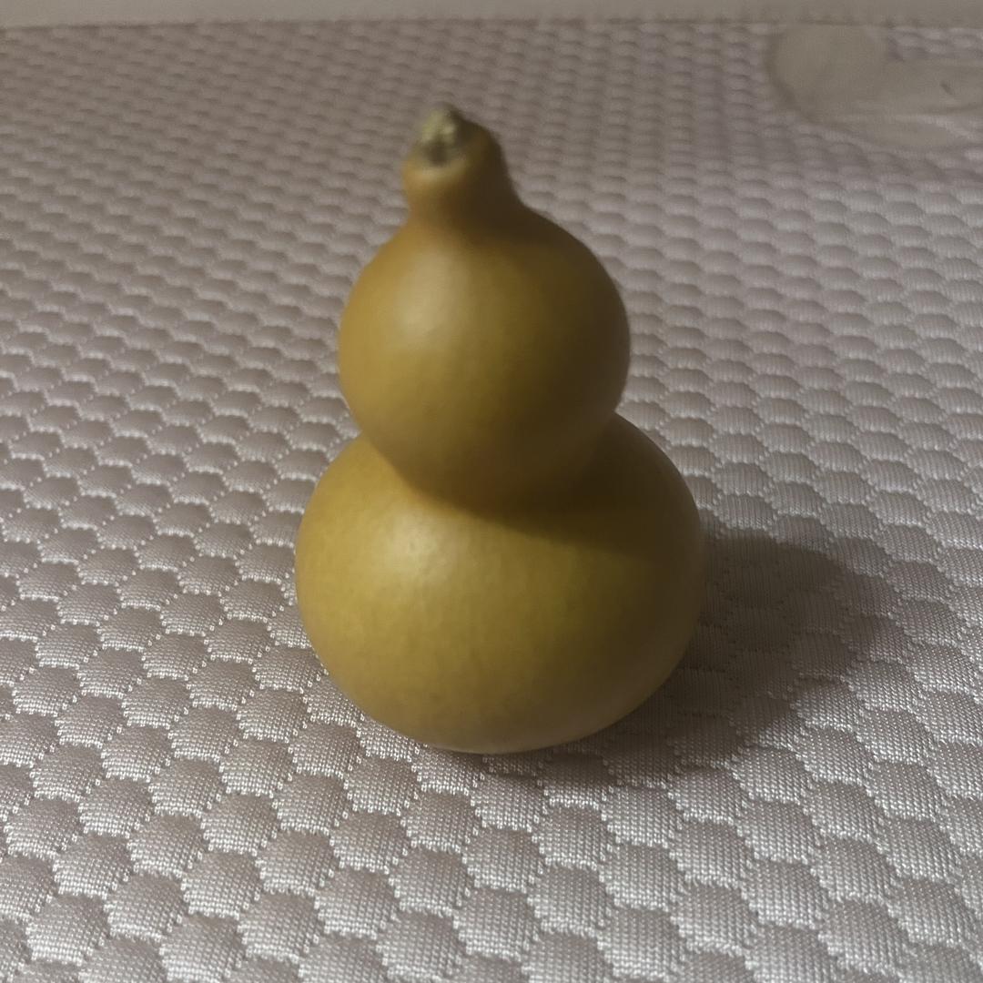 大连钢铁直男女装
