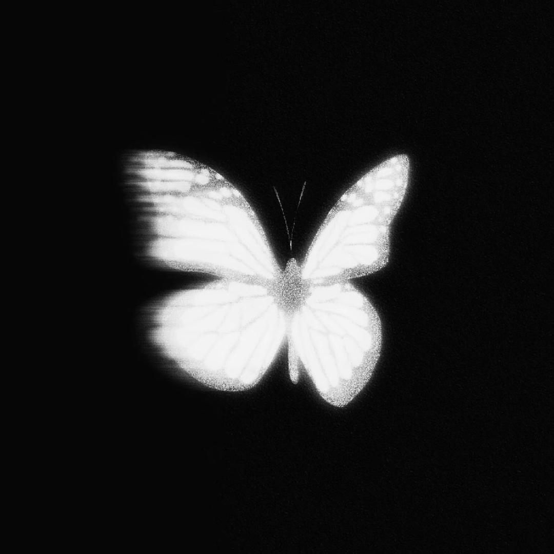 我要成为软饭王