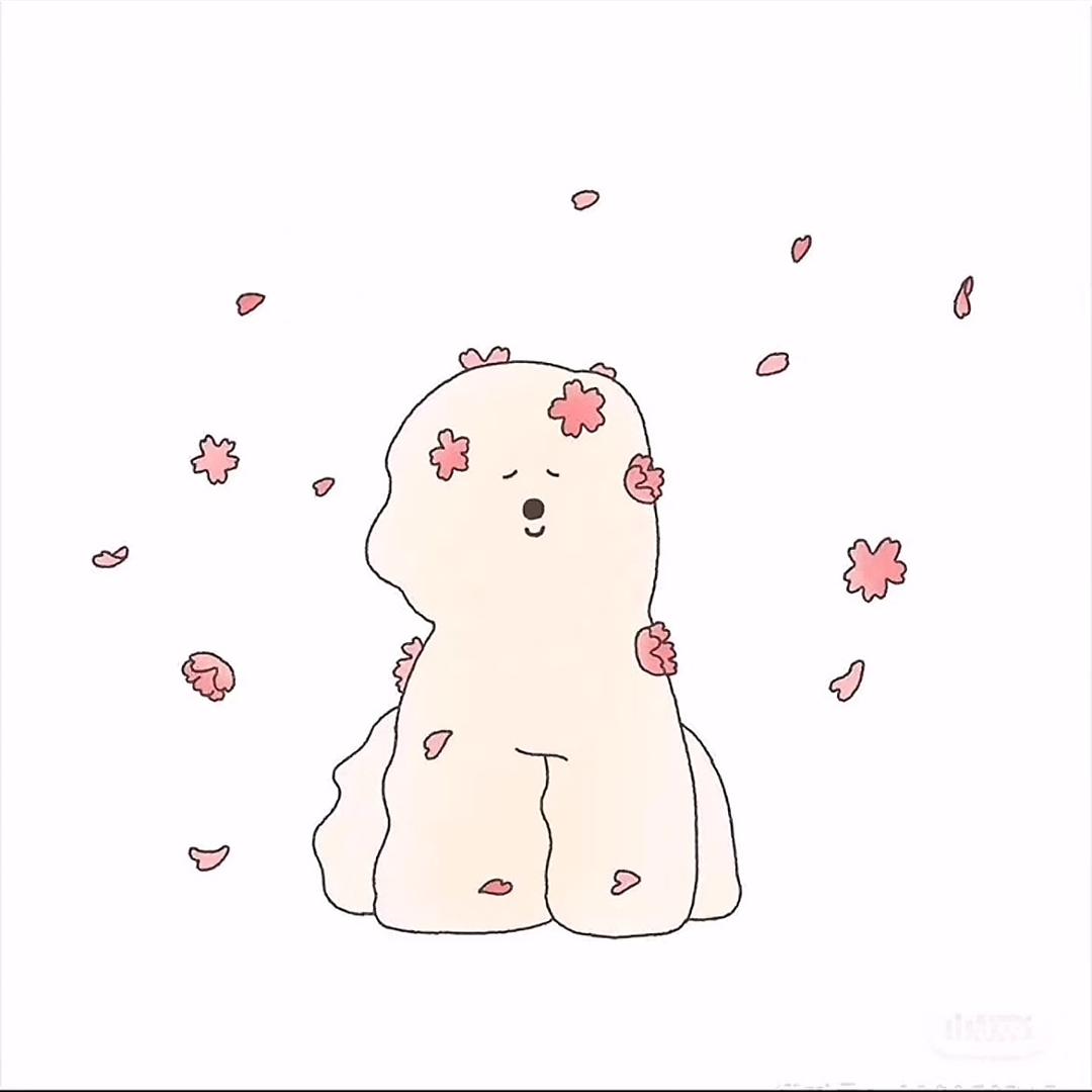 鱿鱼圈（增肌版）