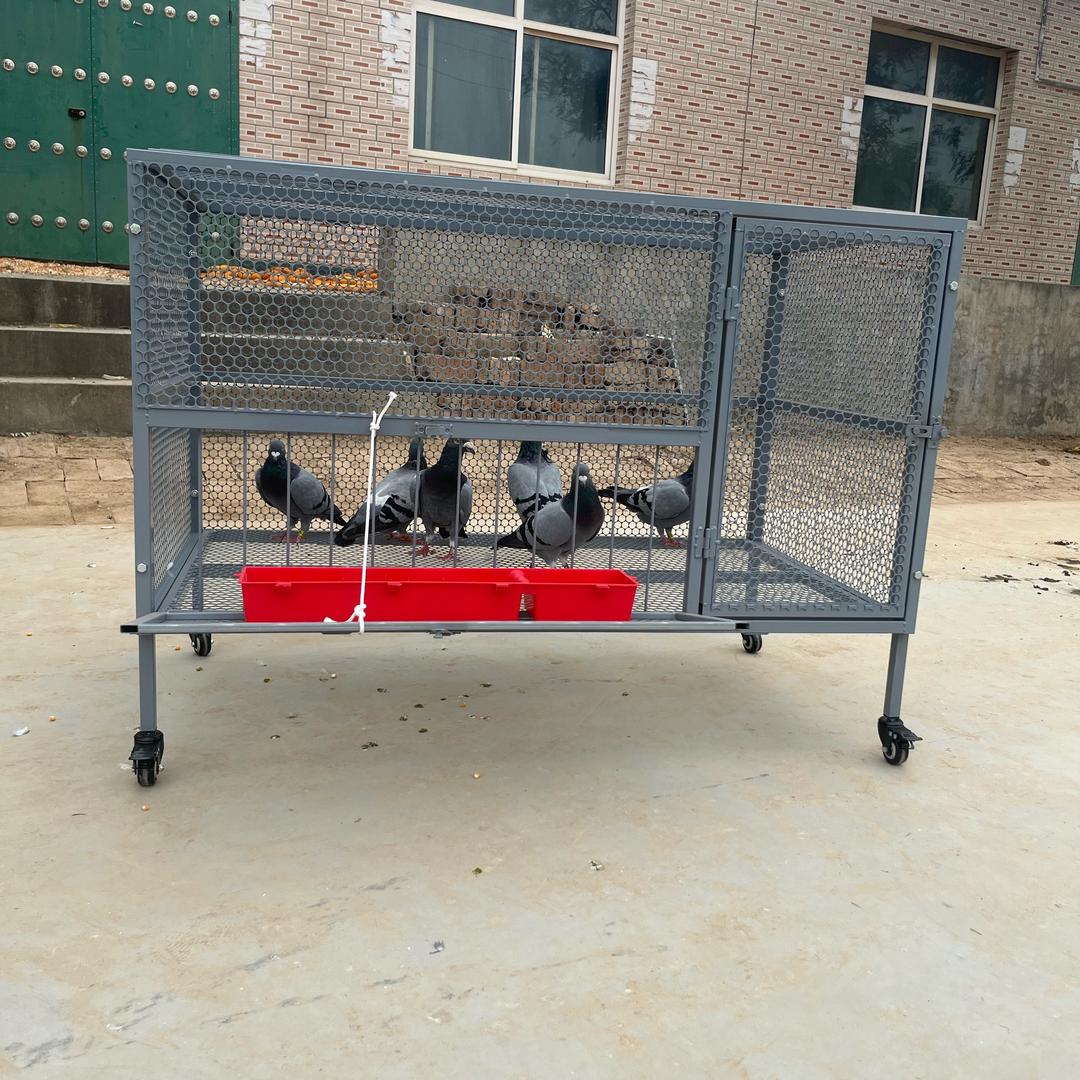 华汇笼具商店