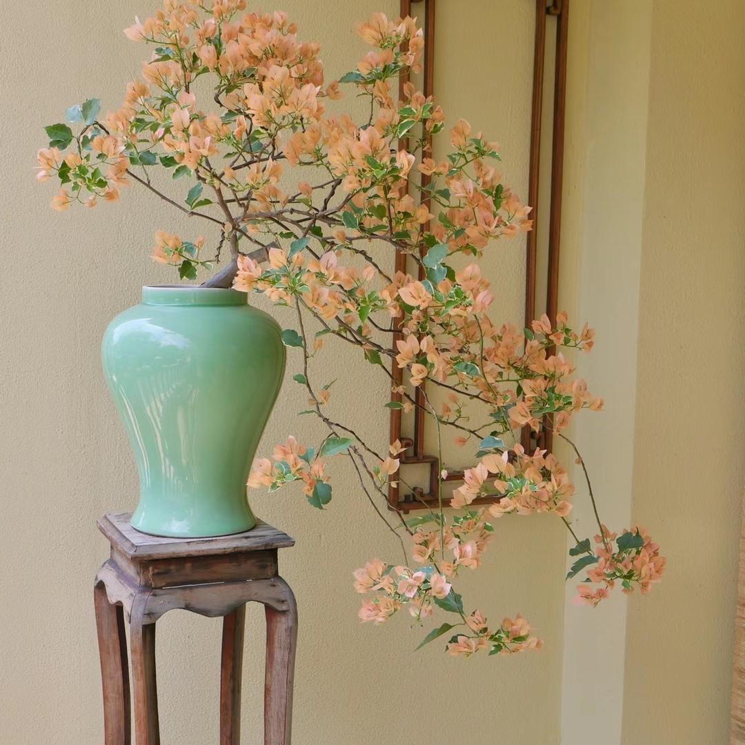 鸿盛绿植花卉经营部