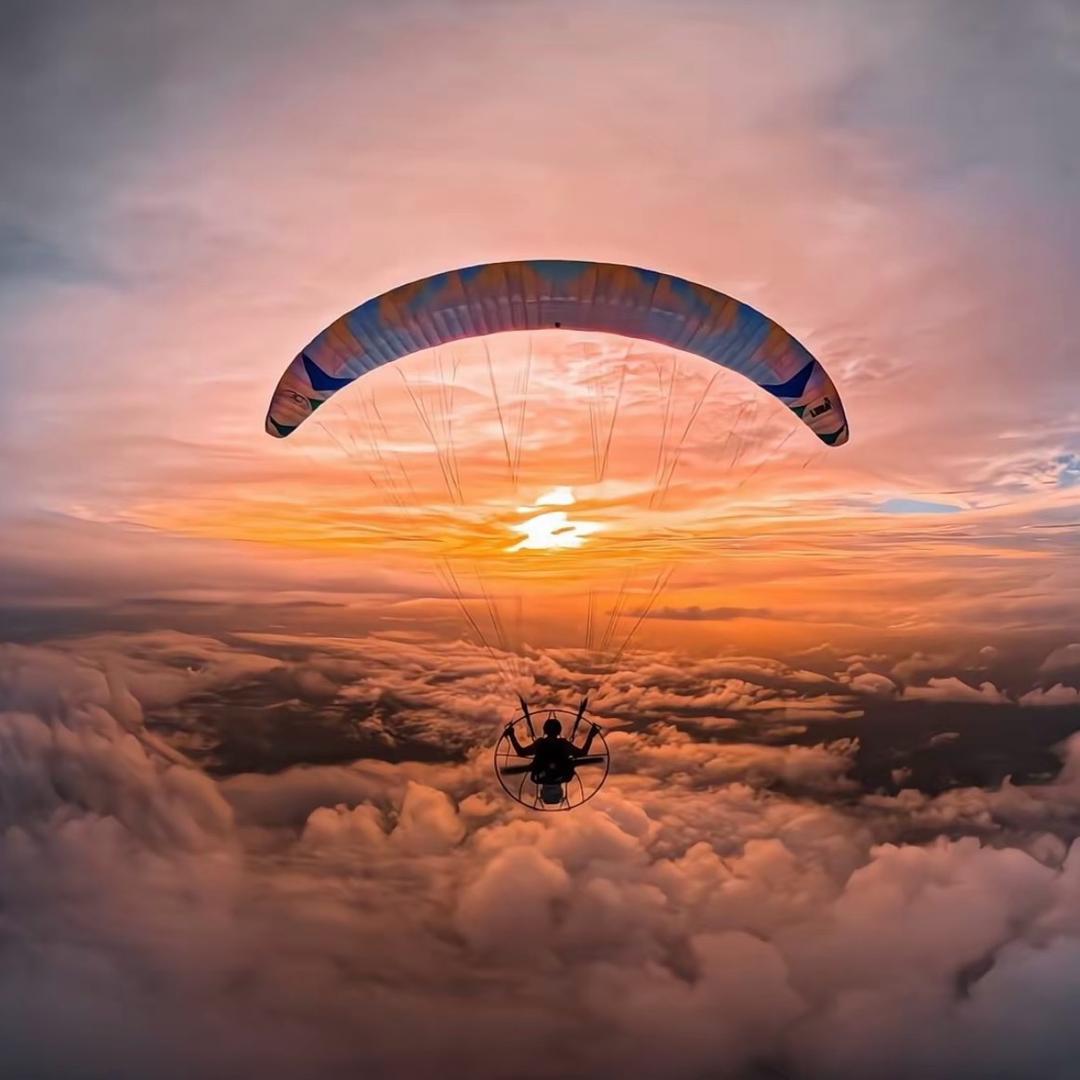 太原市唐久康乐幼儿园店甜菜直播号