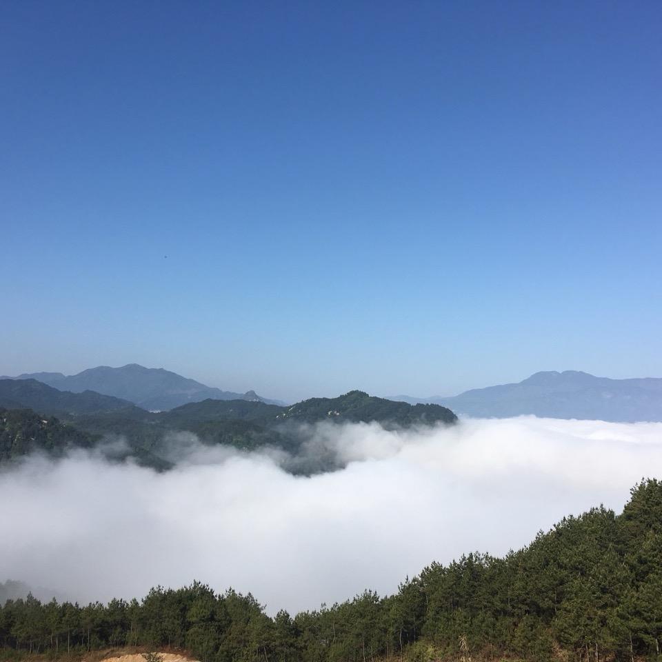 拓荒者