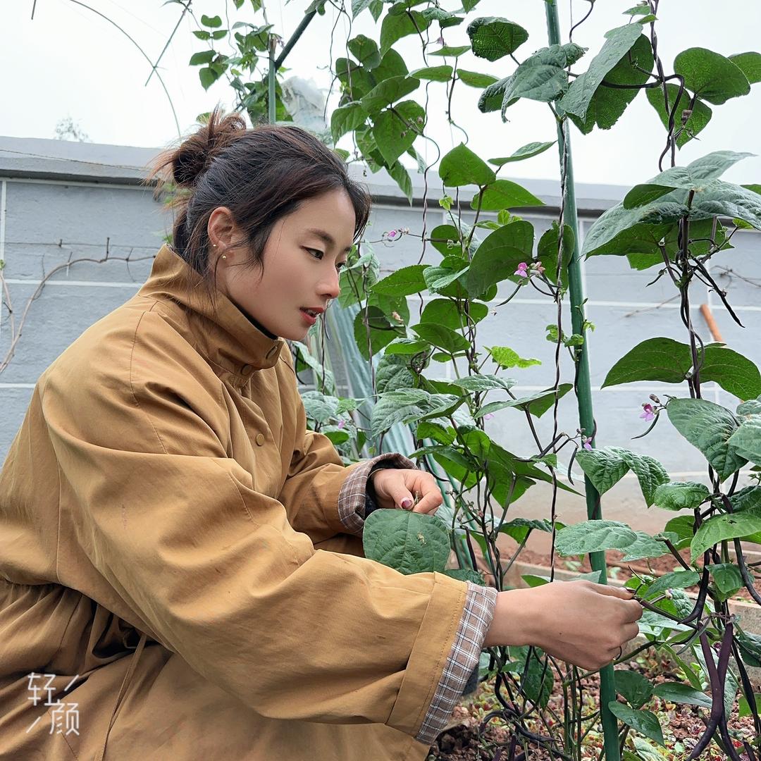 花花爱种植
