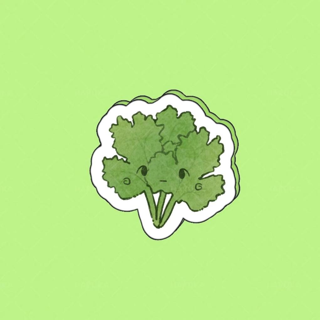 香菜包饭