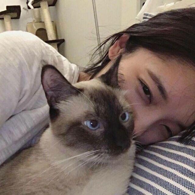 -CCc（少7一点）