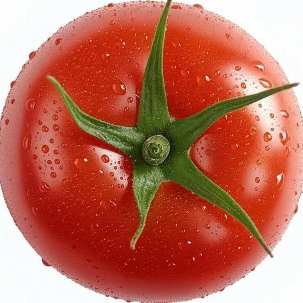 Tomato