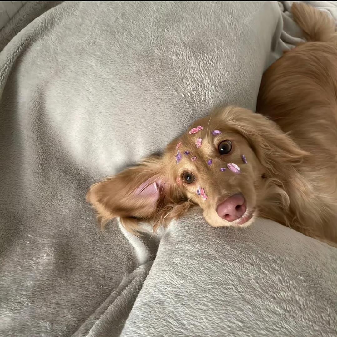 𝗠𝗮𝗸𝗮𝗯𝗮𝗸𝗮.