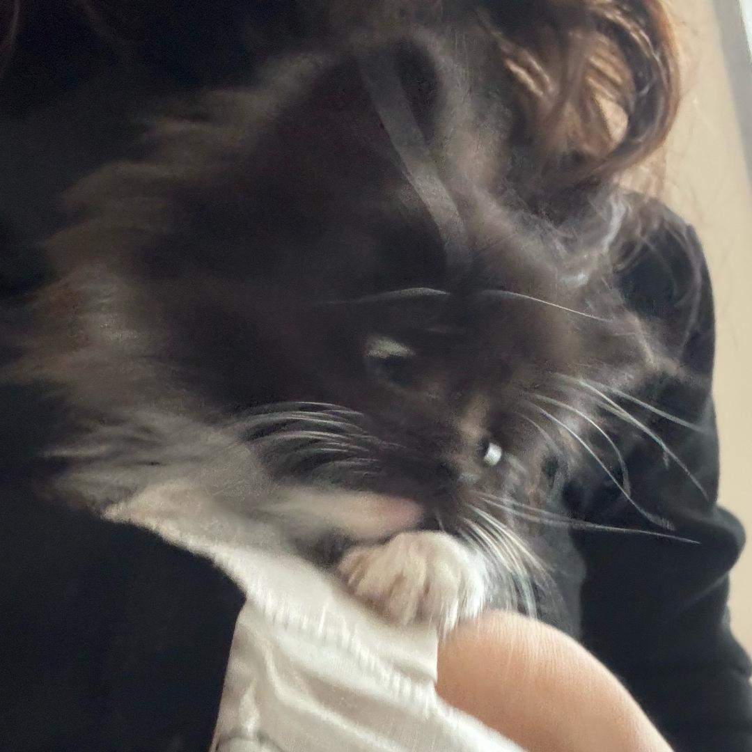 OKOK