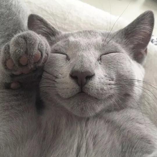 much...