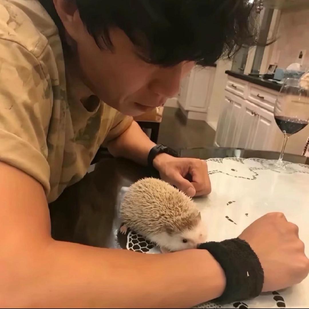 @忘记带脑子出门