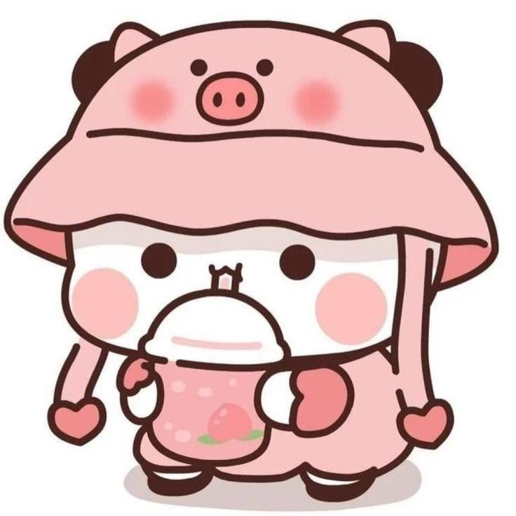 小傻猪么么哒