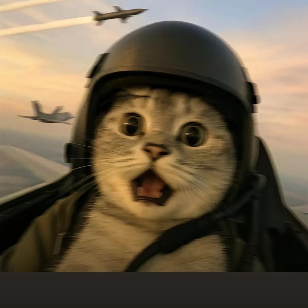 仙