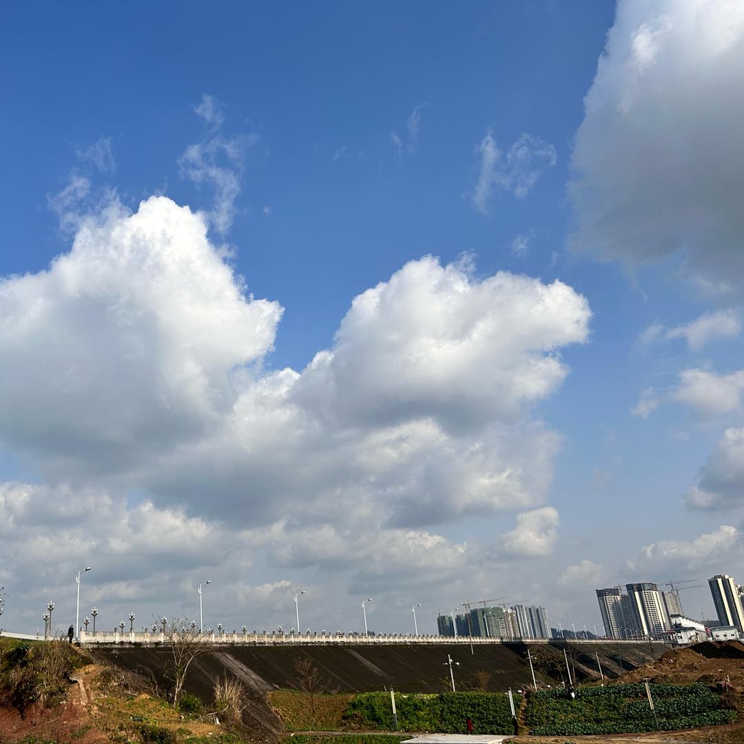 🌈小晓  小橙子🍊