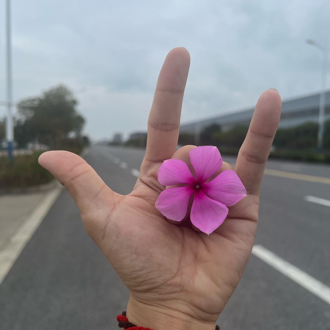 求而不得，孝为先