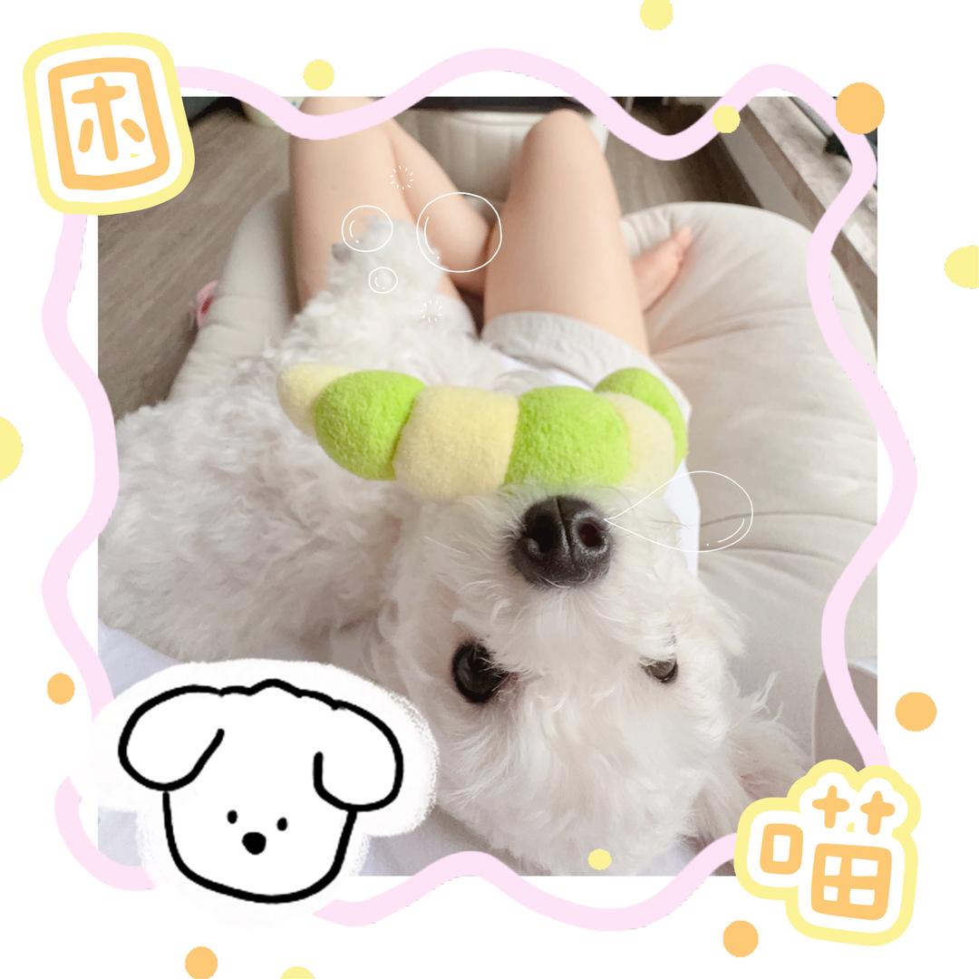 小小菟