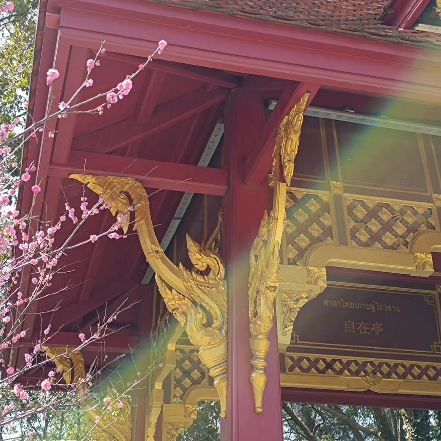 怡璇2