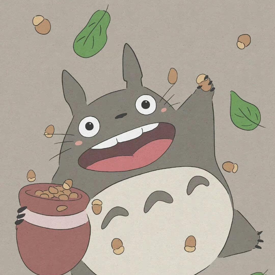 A阳光大龙猫（在思念在记录版）