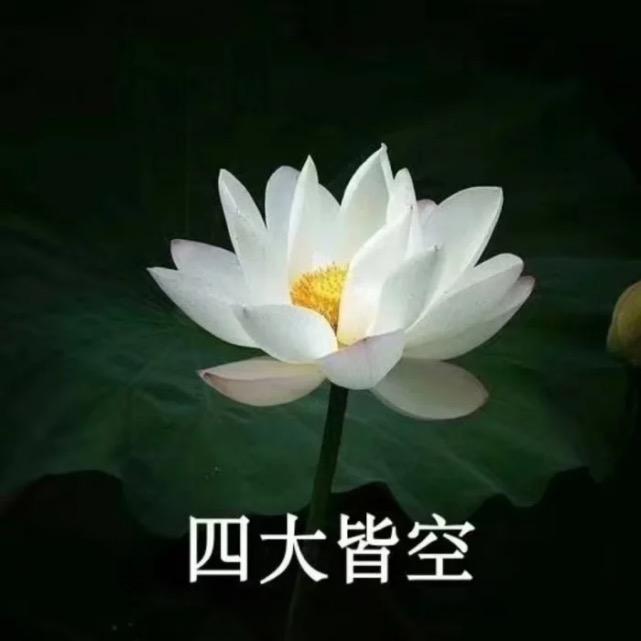 芋泥波波奶茶呢