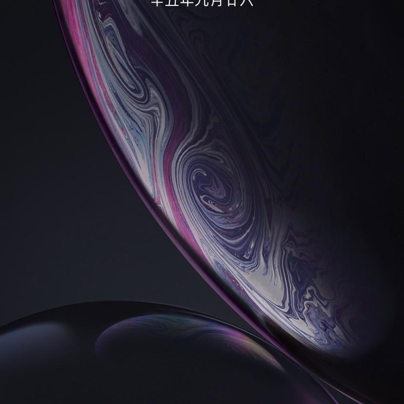 🌈狮子和洋葱