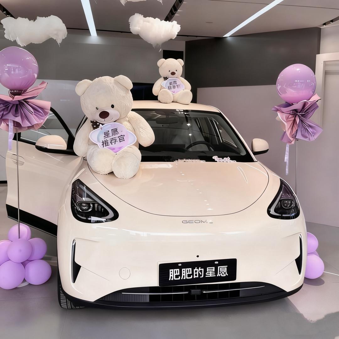 肥肥有个星愿🎀