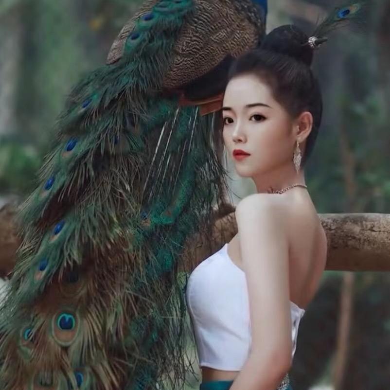 一个饼饼