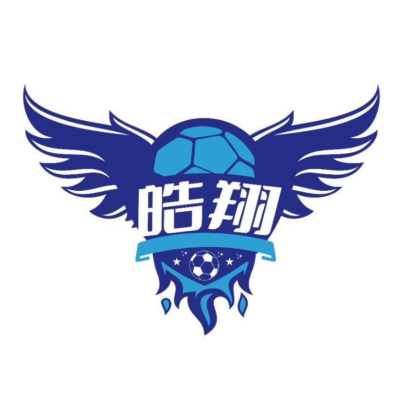 皓翔室内足球官方号