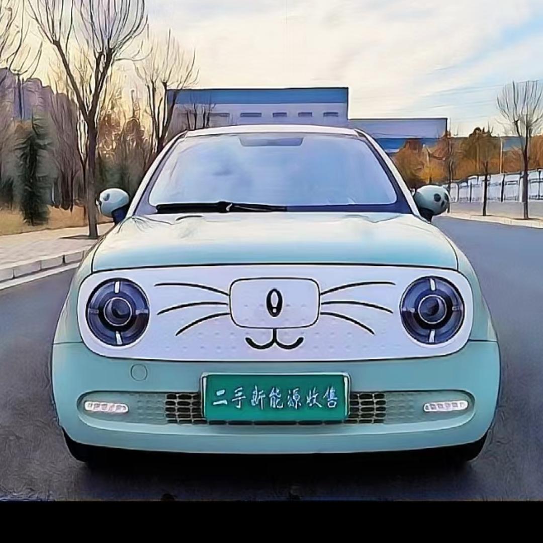 许昌盛乾新能源（洋仔）